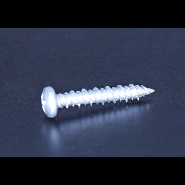ノンプラグビス徳用　ナベ　4mm×25mm